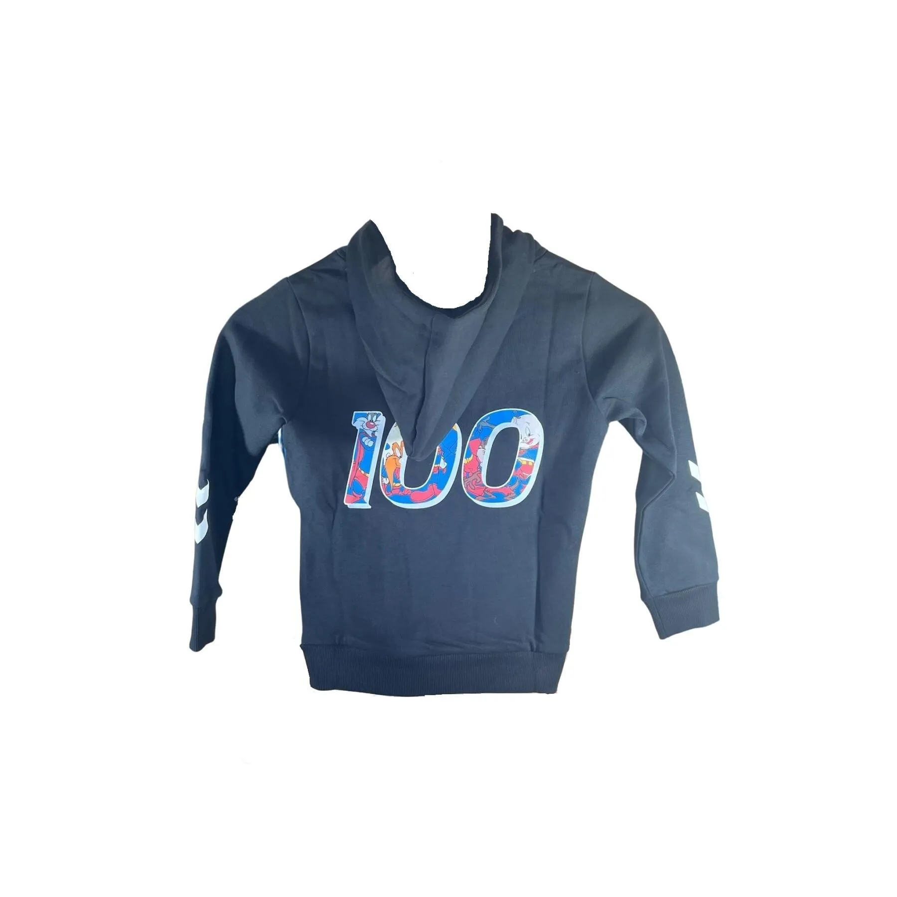 Sudadera con capucha para niños Hummel Celebrating Story [Tamaño 12 años]